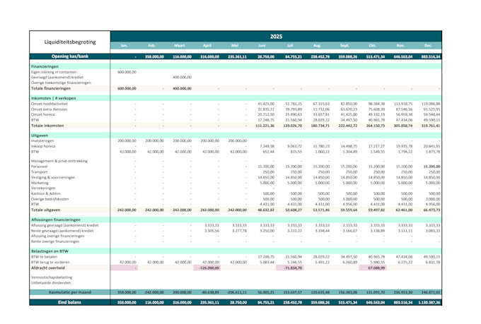 provide you a financial plan template